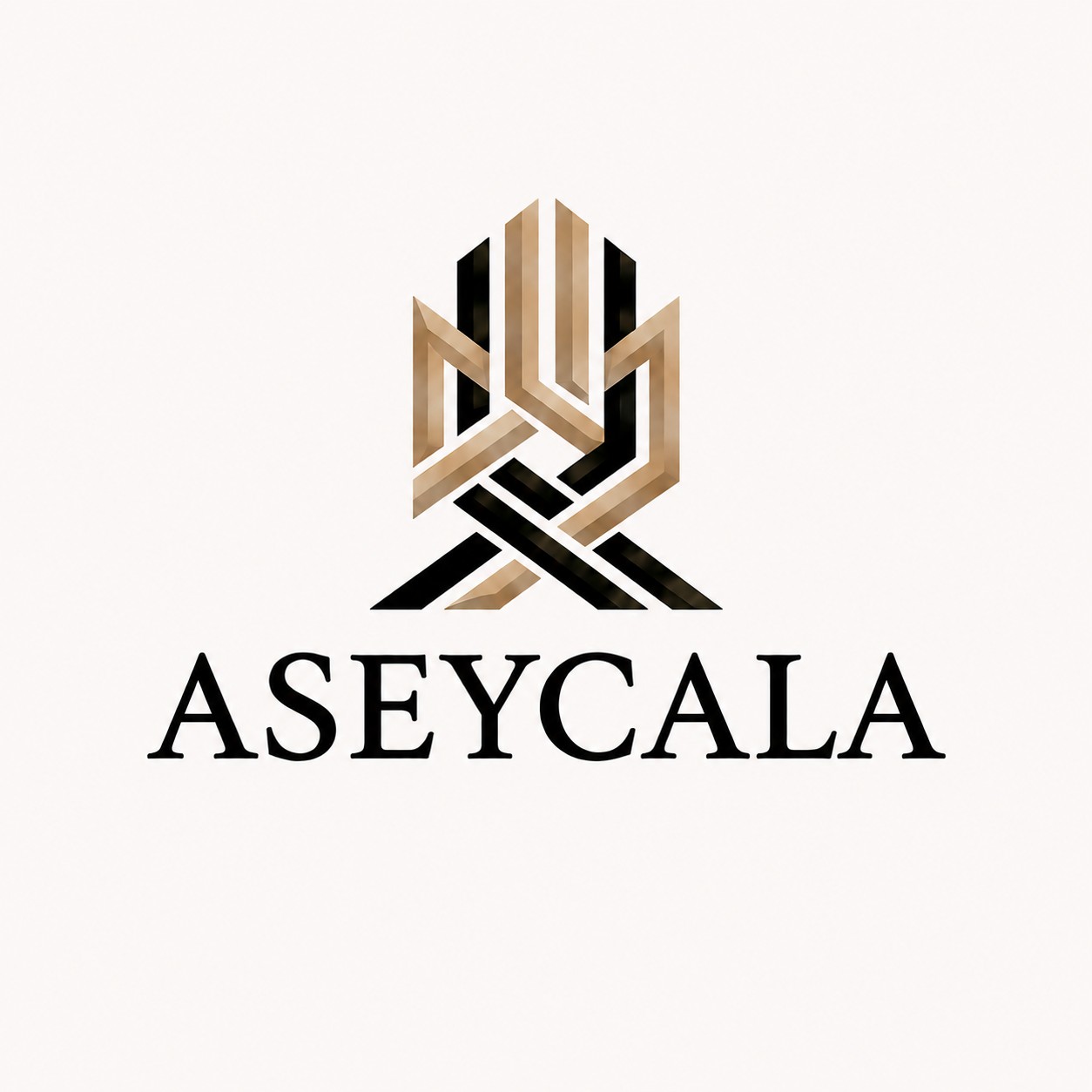 Logo ASEYCALA
